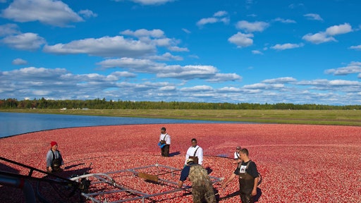 cranberry field 5a008583d64d3