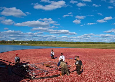 cranberry field 5a008583d64d3