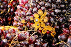 Red Fruit Background Oil Palm Ripe Produce 1464660