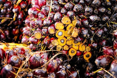 Red Fruit Background Oil Palm Ripe Produce 1464660