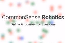 Commonsense Robotics