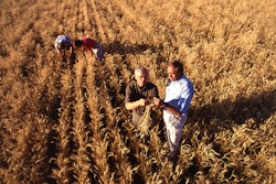 11918 Farmers Inspecting Wheat In A Field Pv