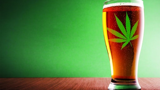 Beerweed