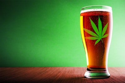 Beerweed