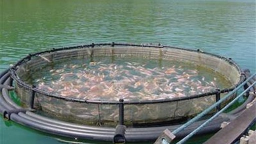 Fishfarm