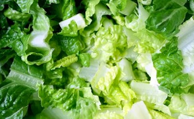 Lettuce