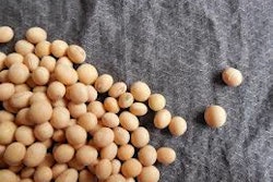 Soybean