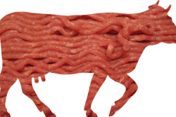 Beef