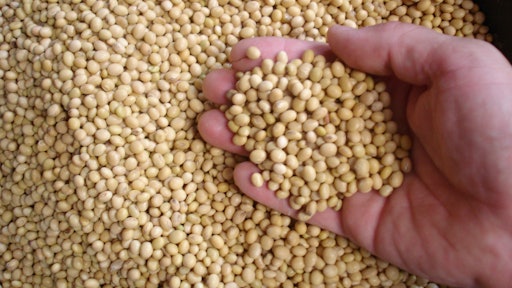 Soybeans