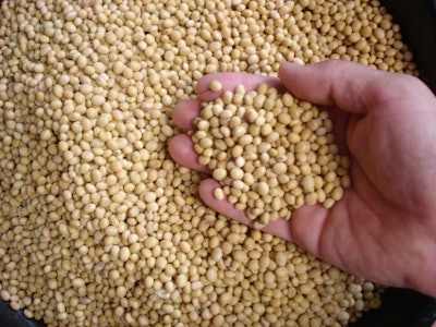 Soybeans
