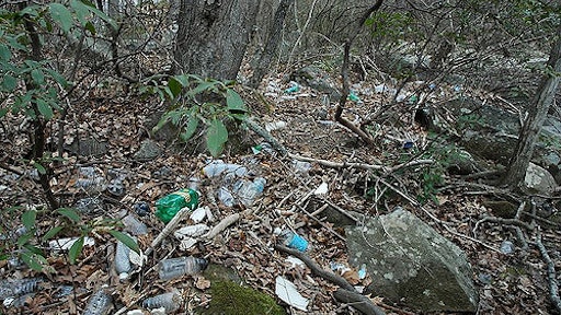 Bottles