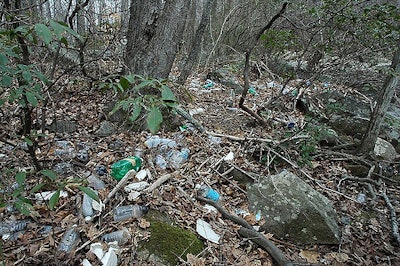 Bottles