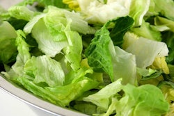 Romaine