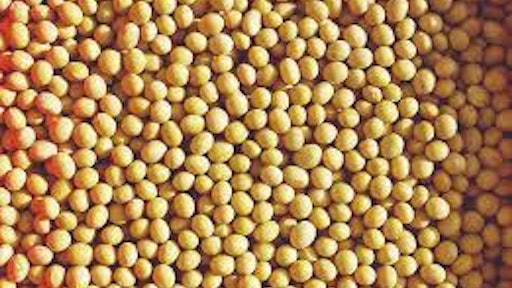 Soybeans