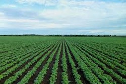 Farming