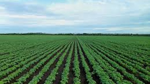 Farming