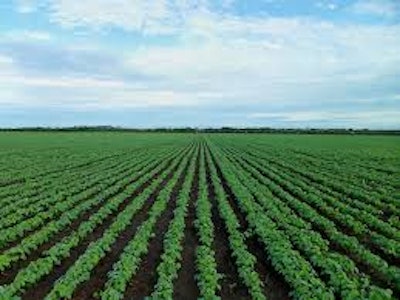 Farming