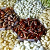 Grains