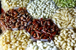 Grains