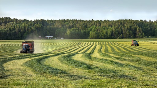 Silage Windrows And Two Tractors 2
