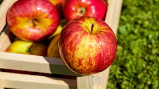 Apples
