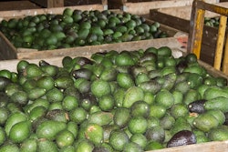 Hass Avocado 1054729 960 720