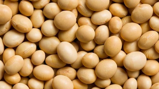 Soybeans