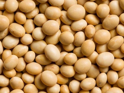 Soybeans