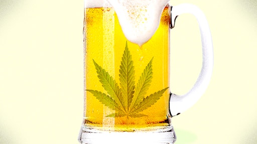 Thc Beer