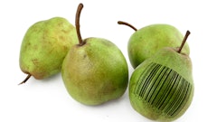 Getty Images 140395871