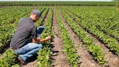 Getty Images 614304418