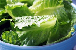 Romaine