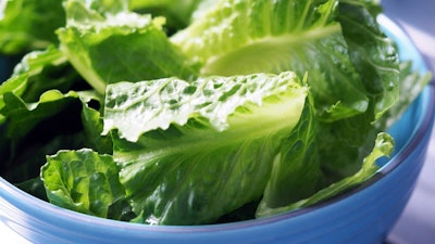 Romaine