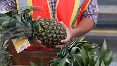 In September, PLRS, the operator of a new Port Tampa Bay cold storage facility, received its first shipment of pineapples from Costa Rica in years.