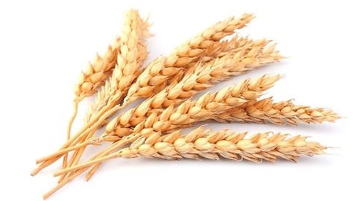Grain