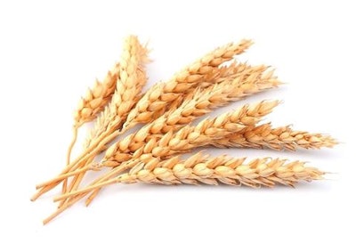 Grain