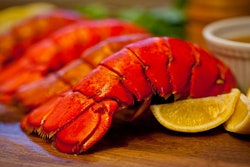 Lobster