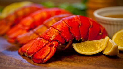 Lobster