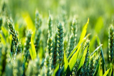 Agriculture