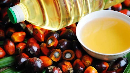 Palm Oil