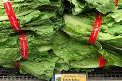 Romaine