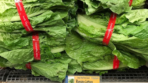 Romaine