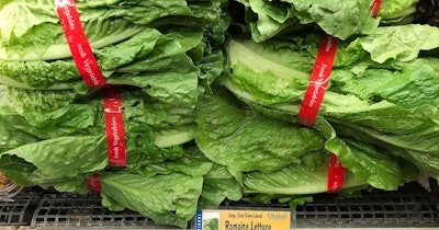 Romaine
