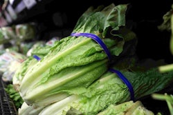 Romaine
