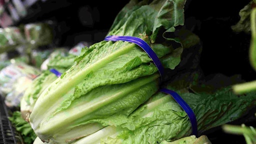 Romaine