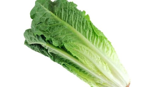 Romaine Lettuce