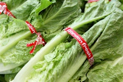 Romaine