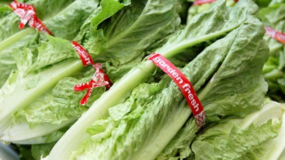 Romaine