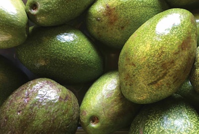 Avocado