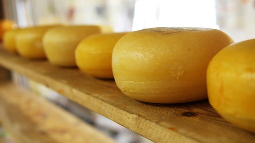 Cheese
